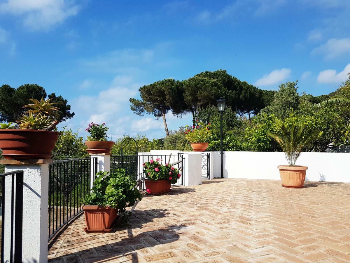 Villa Del Sogno Parghelia Kültér fotó